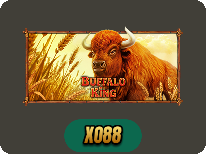 Buffalo King